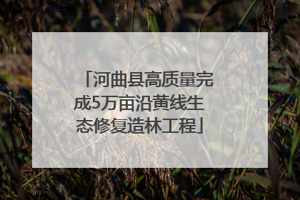 河曲县高质量完成5万亩沿黄线生态修复造林工程