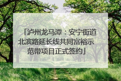 泸州龙马潭：安宁街道北滨路延长线共同富裕示范带项目正式签约