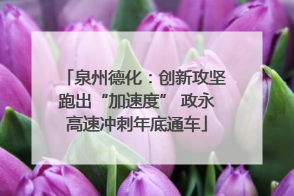 泉州德化：创新攻坚跑出“加速度” 政永高速冲刺年底通车