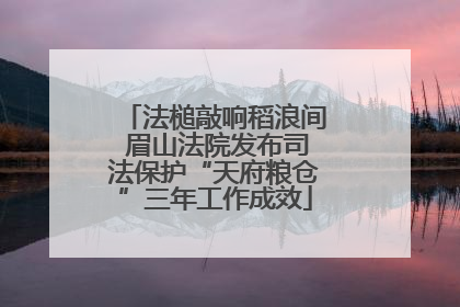 法槌敲响稻浪间 眉山法院发布司法保护“天府粮仓”三年工作成效