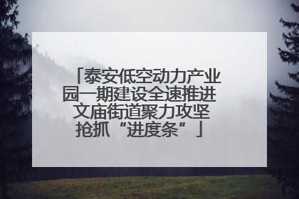 泰安低空动力产业园一期建设全速推进 文庙街道聚力攻坚抢抓“进度条”