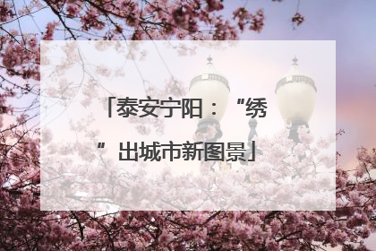 泰安宁阳：“绣”出城市新图景