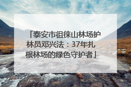 泰安市徂徕山林场护林员邓兴法：37年扎根林场的绿色守护者