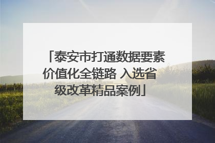 泰安市打通数据要素价值化全链路 入选省级改革精品案例