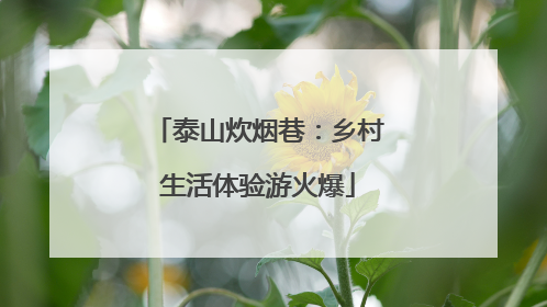 泰山炊烟巷：乡村生活体验游火爆