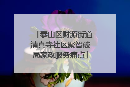 泰山区财源街道清真寺社区聚智破局家政服务痛点