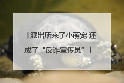 派出所来了小萌宠 还成了“反诈宣传员”