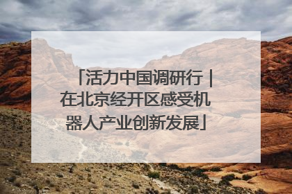 活力中国调研行｜在北京经开区感受机器人产业创新发展
