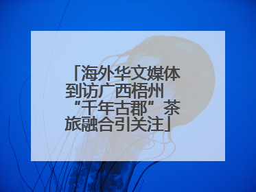 海外华文媒体到访广西梧州 “千年古郡”茶旅融合引关注