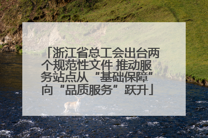 浙江省总工会出台两个规范性文件 推动服务站点从“基础保障”向“品质服务”跃升