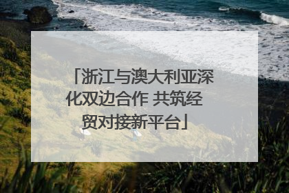 浙江与澳大利亚深化双边合作 共筑经贸对接新平台