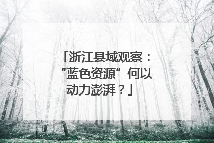浙江县域观察：“蓝色资源”何以动力澎湃？