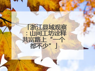 浙江县域观察：山间工坊诠释共富路上“一个都不少”
