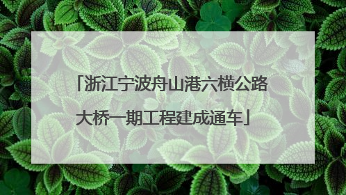 浙江宁波舟山港六横公路大桥一期工程建成通车