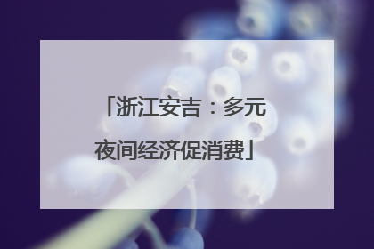 浙江安吉：多元夜间经济促消费