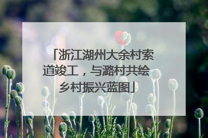 浙江湖州大余村索道竣工，与潞村共绘乡村振兴蓝图