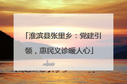 淮滨县张里乡：党建引领，惠民义诊暖人心