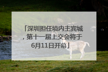深圳担任境内主宾城，第十一届上交会将于6月11日开幕
