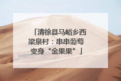清徐县马峪乡西梁泉村：串串葡萄变身“金果果”