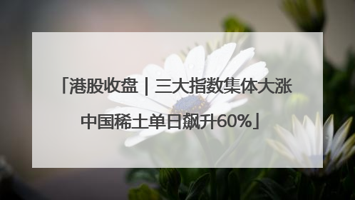 港股收盘｜三大指数集体大涨 中国稀土单日飙升60%