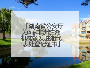 湖南省公安厅为5家非洲驻湘机构颁发驻湘代表处登记证书