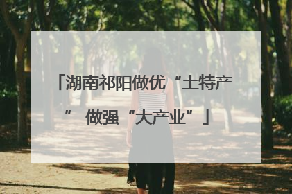 湖南祁阳做优“土特产” 做强“大产业”