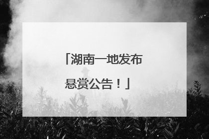 湖南一地发布悬赏公告！