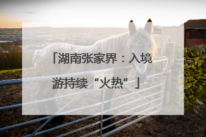 湖南张家界：入境游持续“火热”