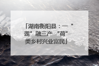 湖南衡阳县：一“莲”融三产 “荷”美乡村兴业富民