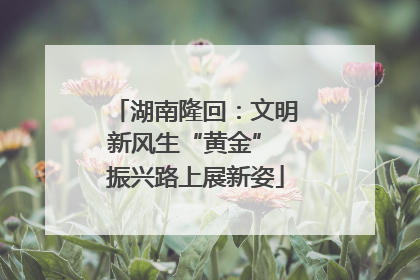 湖南隆回：文明新风生“黄金” 振兴路上展新姿