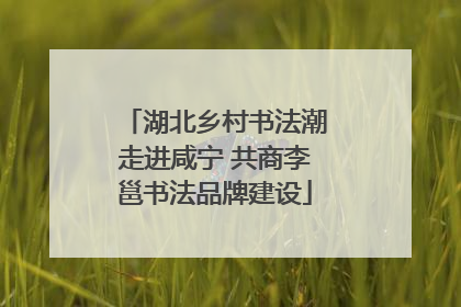 湖北乡村书法潮走进咸宁 共商李邕书法品牌建设