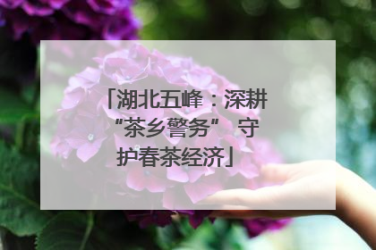 湖北五峰：深耕“茶乡警务” 守护春茶经济