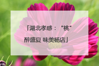湖北孝感：“桃”醉盛夏 味美杨店