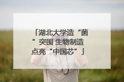 湖北大学造“菌”突围 生物制造点亮“中国芯”