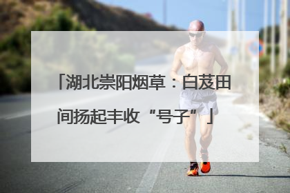 湖北崇阳烟草：白芨田间扬起丰收“号子”