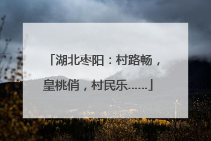 湖北枣阳：村路畅，皇桃俏，村民乐……