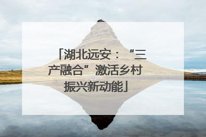 湖北远安：“三产融合”激活乡村振兴新动能