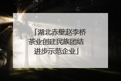 湖北赤壁赵李桥茶业创建民族团结进步示范企业