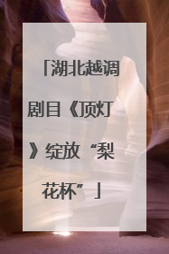 湖北越调剧目《顶灯》绽放“梨花杯”