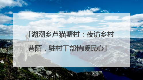 湖潮乡芦猫塘村：夜访乡村巷陌，驻村干部情暖民心