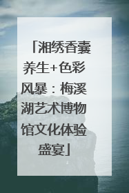 湘绣香囊养生+色彩风暴：梅溪湖艺术博物馆文化体验盛宴