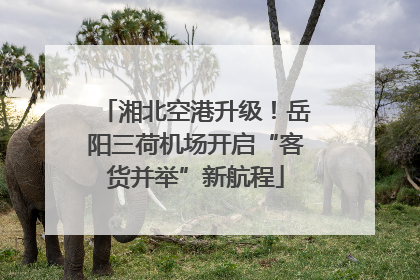 湘北空港升级！岳阳三荷机场开启“客货并举”新航程