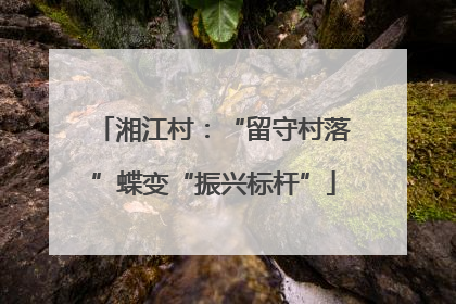 湘江村：“留守村落”蝶变“振兴标杆”