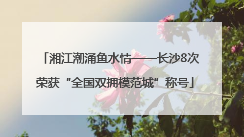 湘江潮涌鱼水情——长沙8次荣获“全国双拥模范城”称号