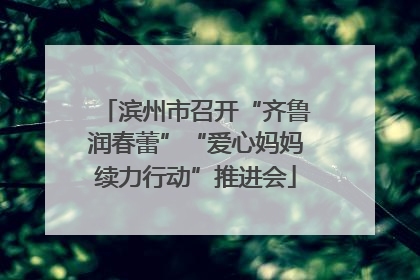 滨州市召开“齐鲁润春蕾”“爱心妈妈续力行动”推进会