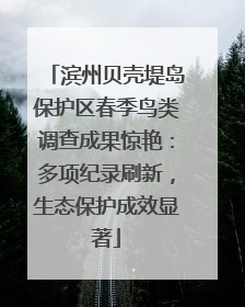 滨州贝壳堤岛保护区春季鸟类调查成果惊艳：多项纪录刷新，生态保护成效显著