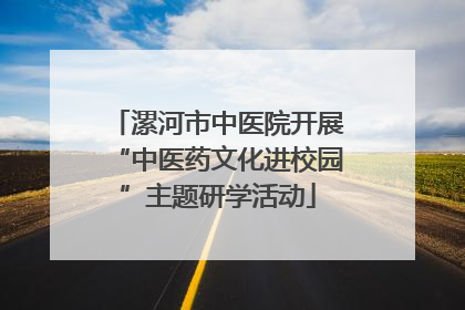 漯河市中医院开展“中医药文化进校园”主题研学活动
