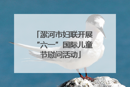 漯河市妇联开展“六一”国际儿童节慰问活动