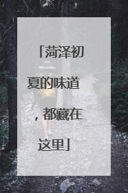 菏泽初夏的味道，都藏在这里