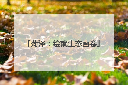 菏泽：绘就生态画卷